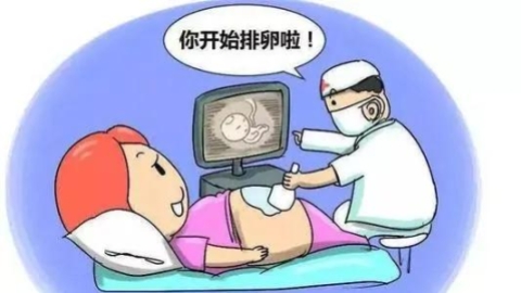 什么时候促排，促排需要多久？