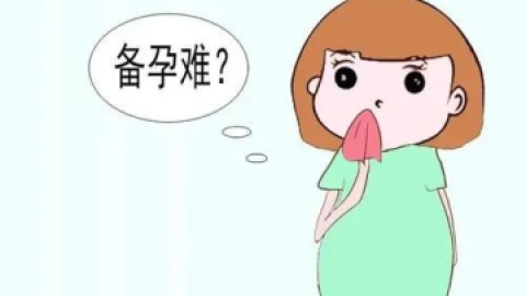 备孕夫妻怎么提高命中率？