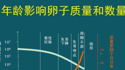 高龄失独夫妻做泰国试管婴儿，如何降低风险？