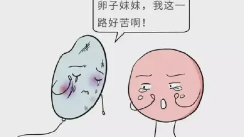 不孕不育的家庭，通过试管婴儿都怀上了吗？