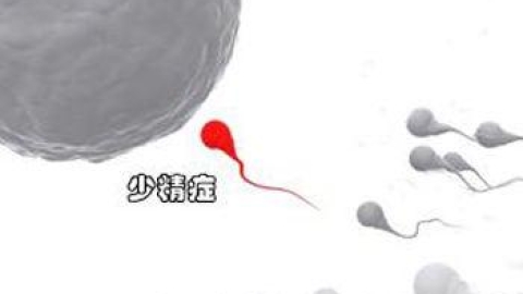 少精症的病因是什么？能做试管吗？